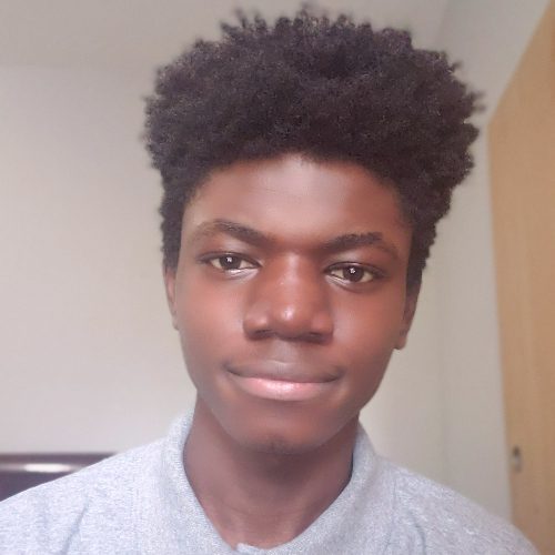 Reggie, a Digital Scholar